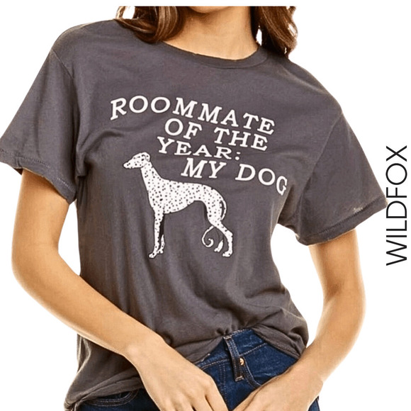 Wildfox NWT Roommate Keke My Dog Distressed Graphic Short Sleeve Gray Tee Small - Picture 1 of 8